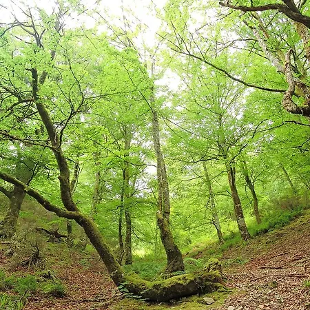 Casa rural Casa Gloria Moncó