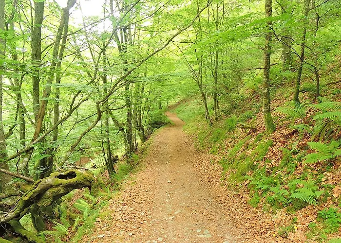 Country house Casa Gloria *