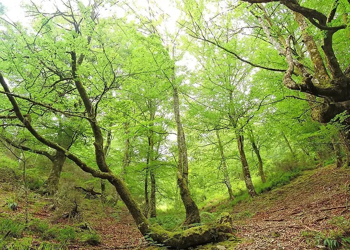 Country house Casa Gloria Monco